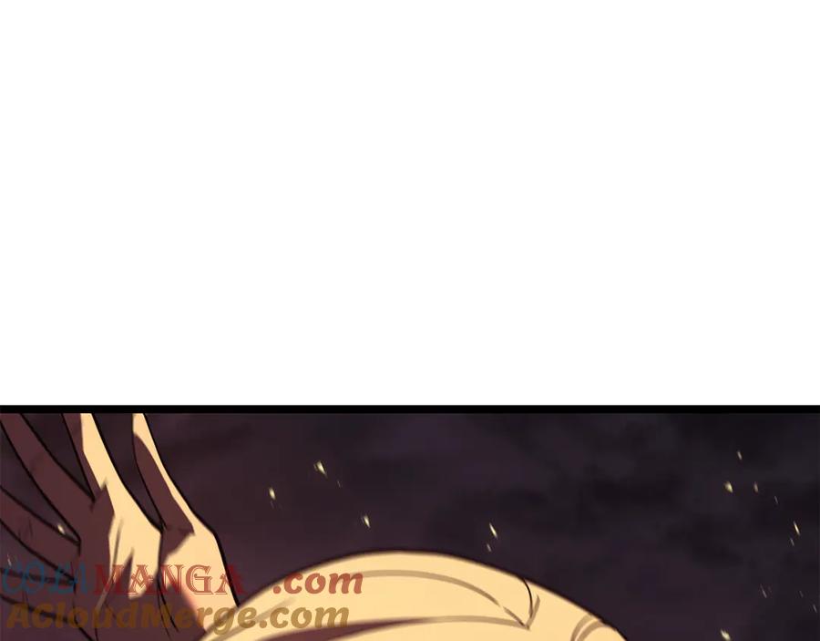 第229页