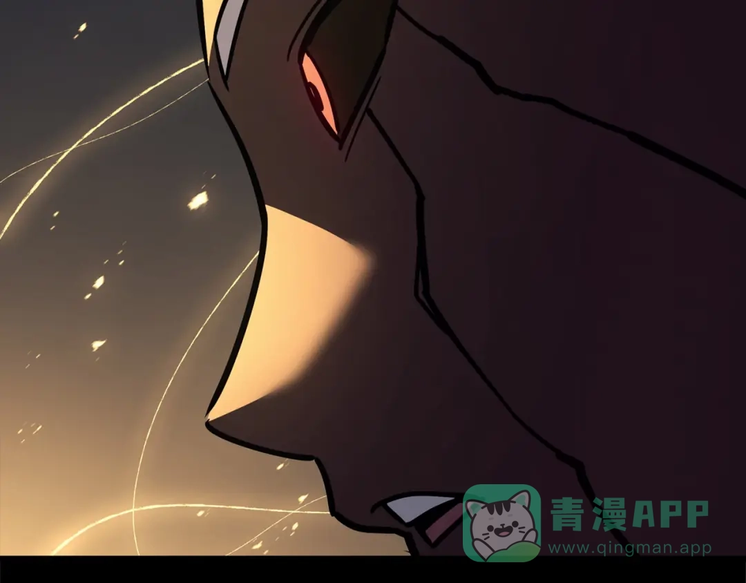 第241页