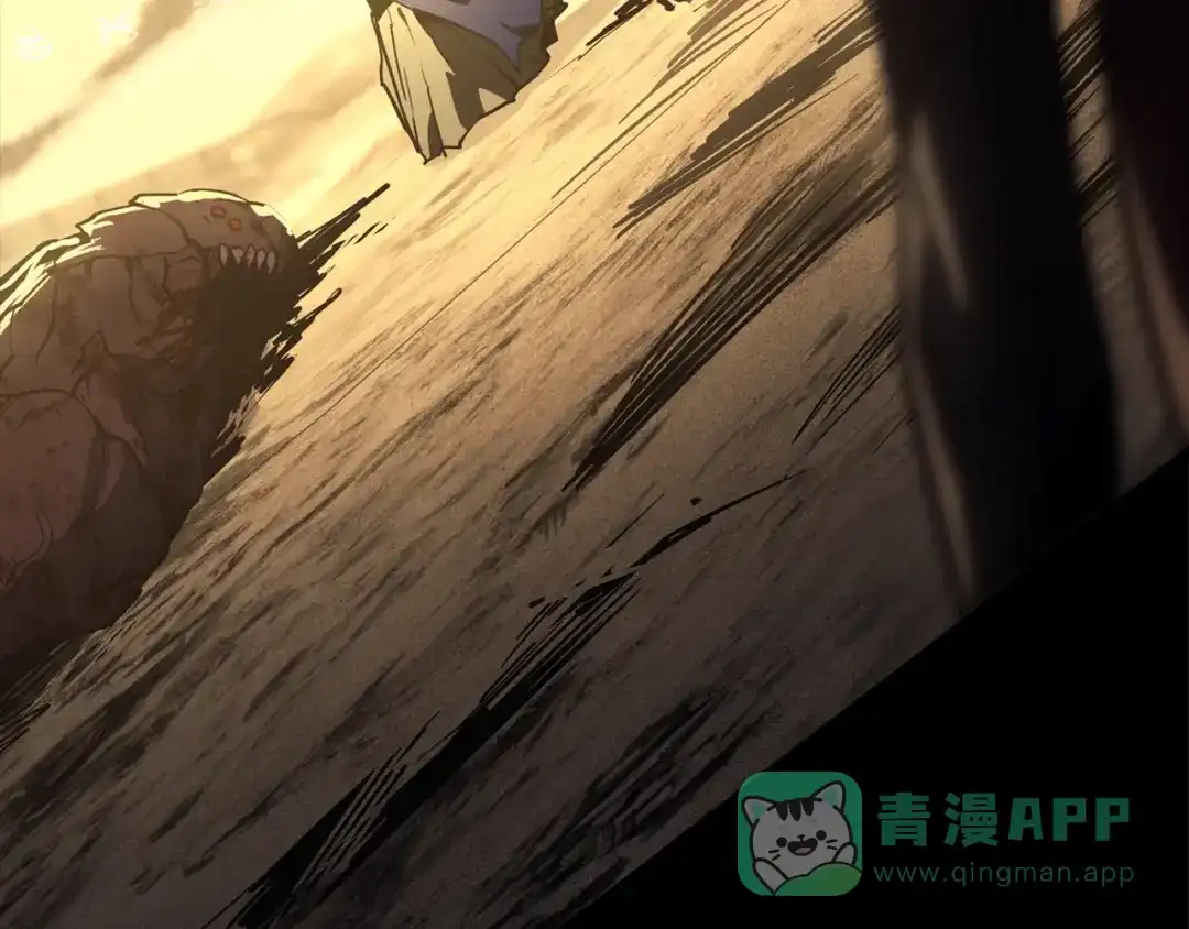 第246页