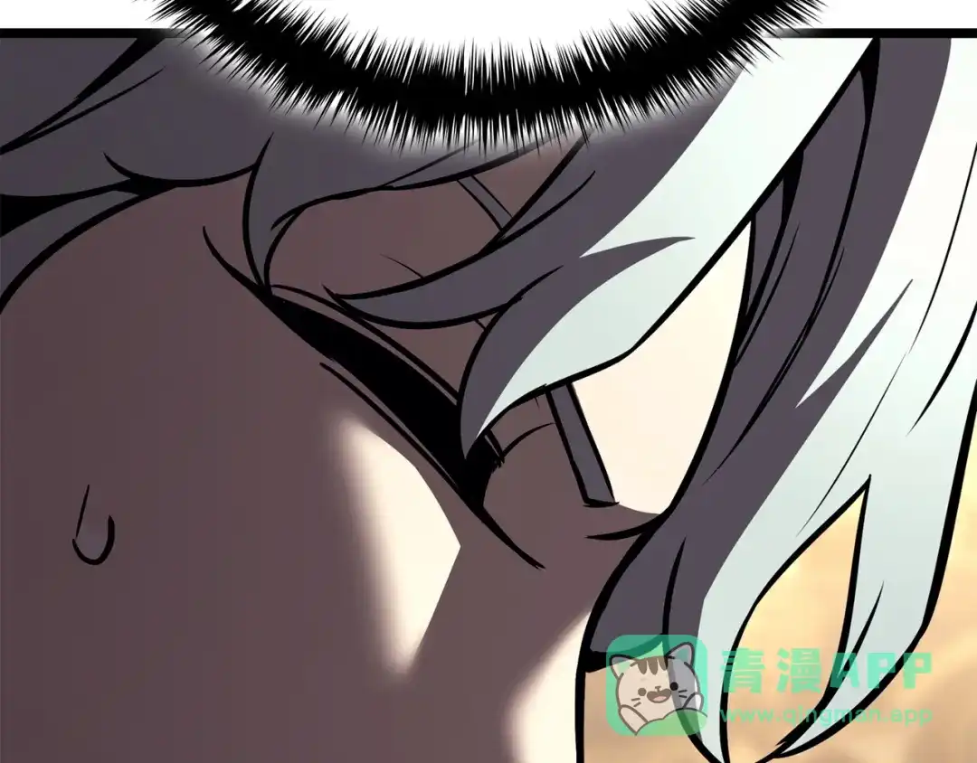 第216页