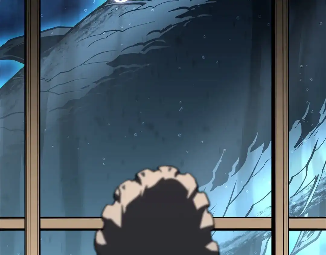 第238页