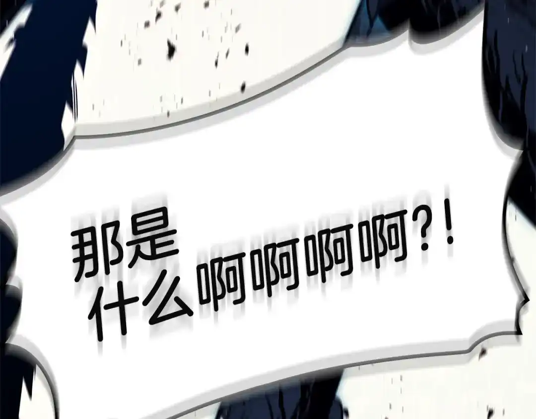 第247页