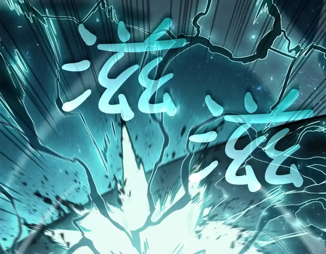 第204页