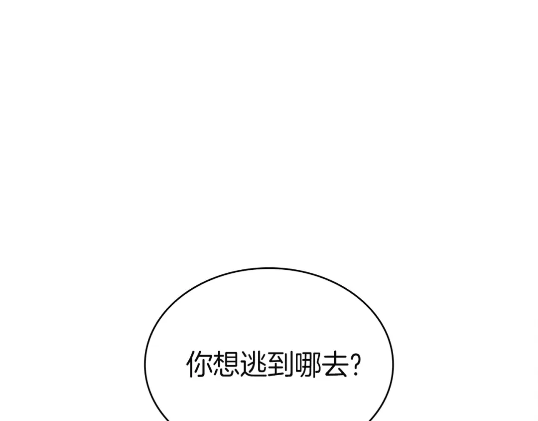 第240页