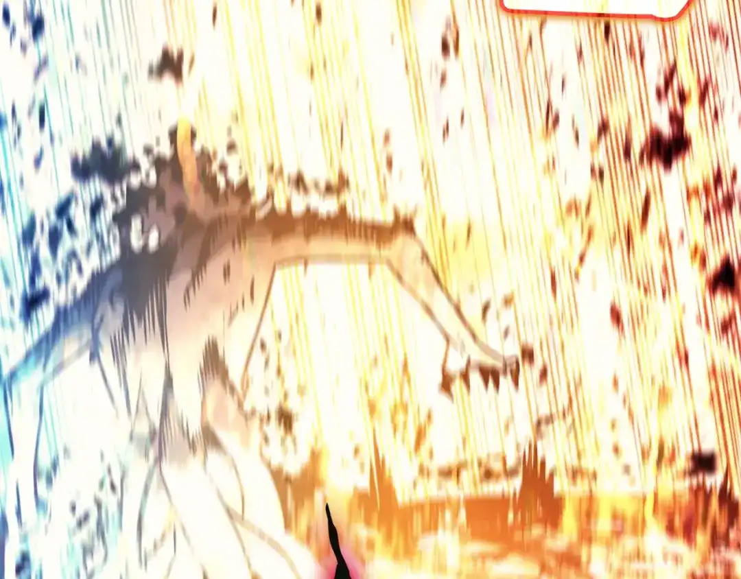 第224页