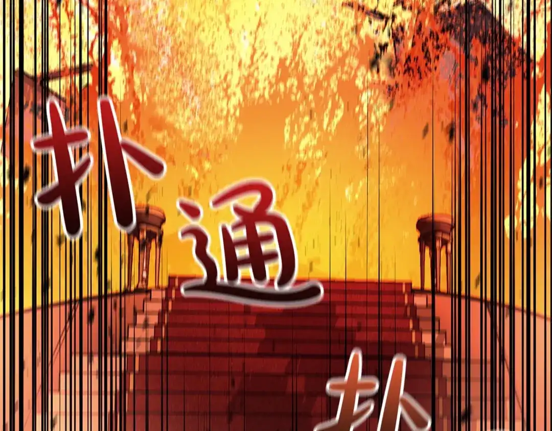 第218页