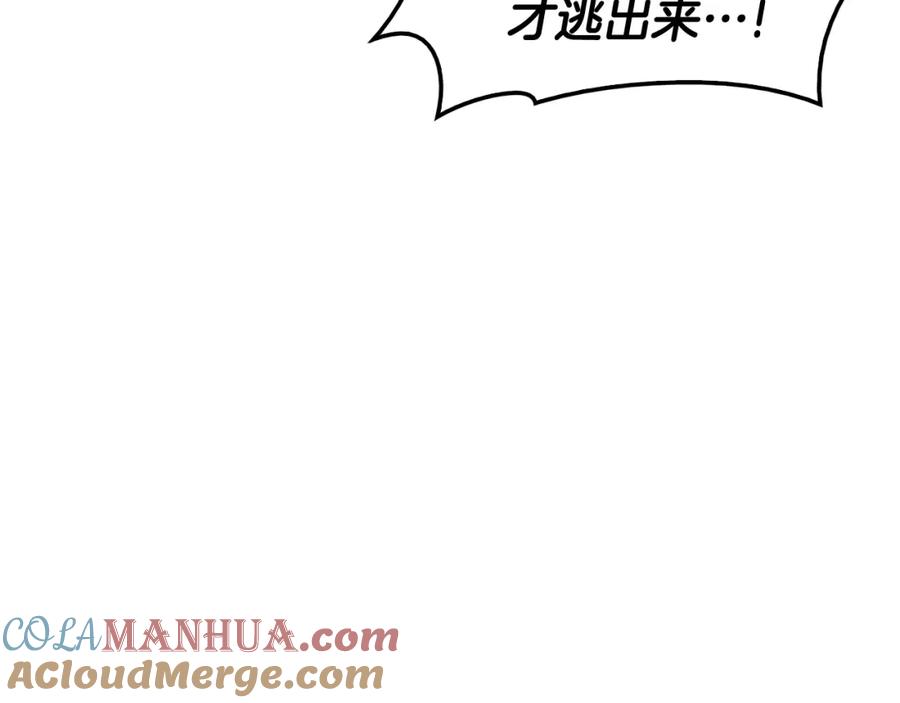 第281页