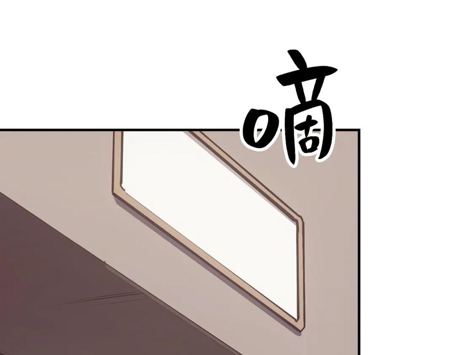 第255页