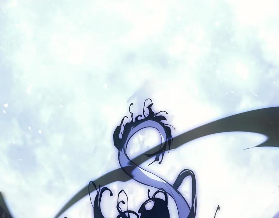 第245页