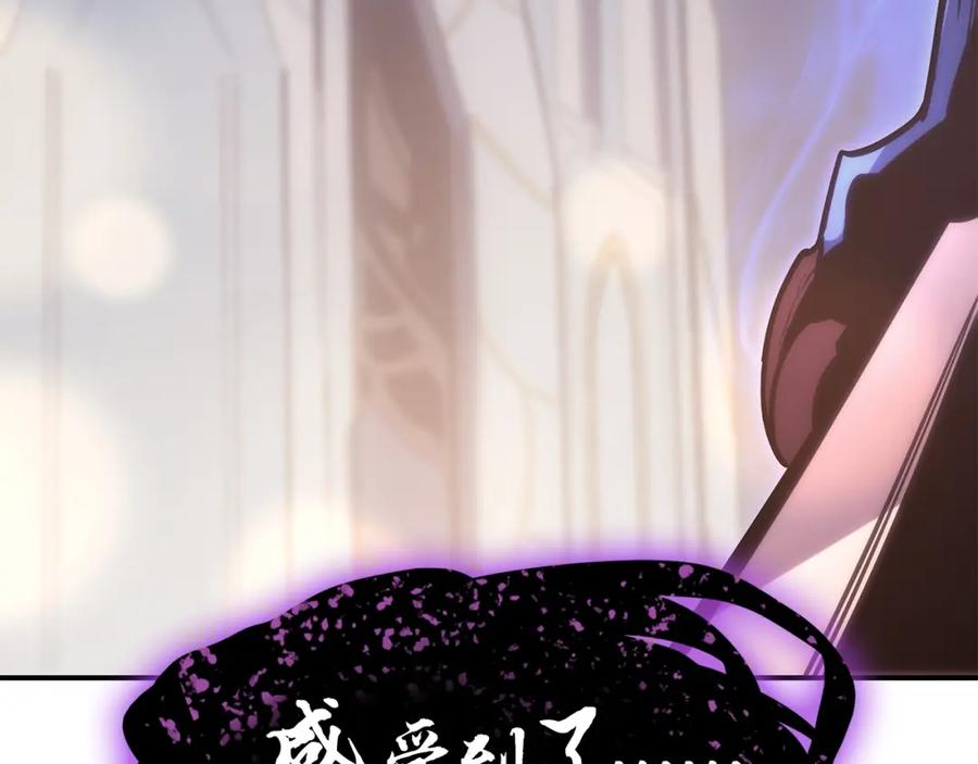 第256页