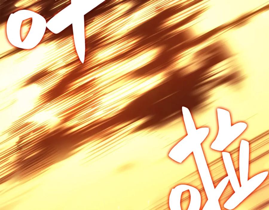 第242页