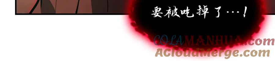 第205页