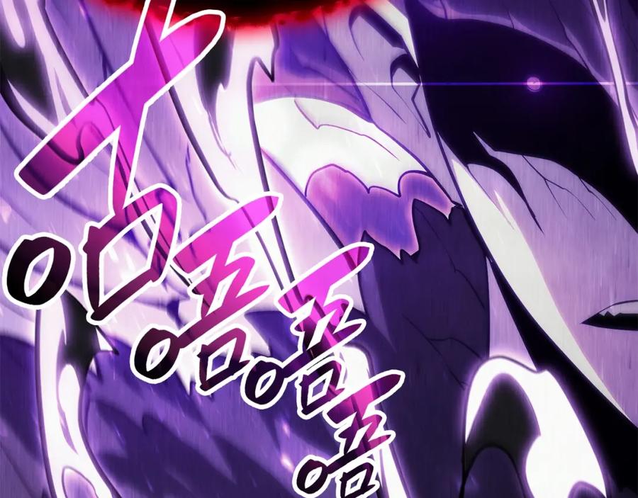 第223页