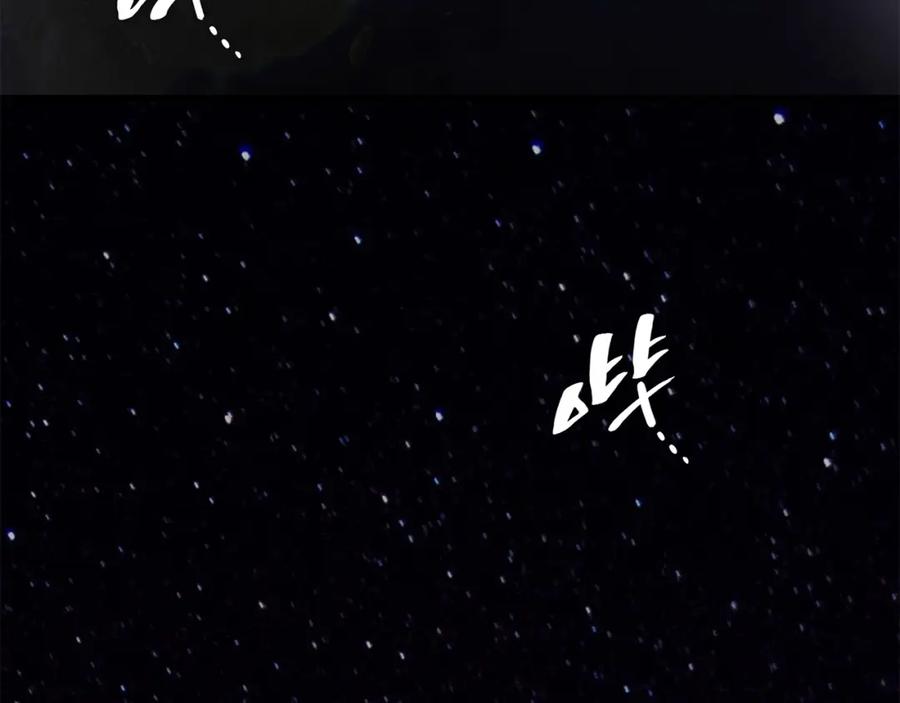 第224页