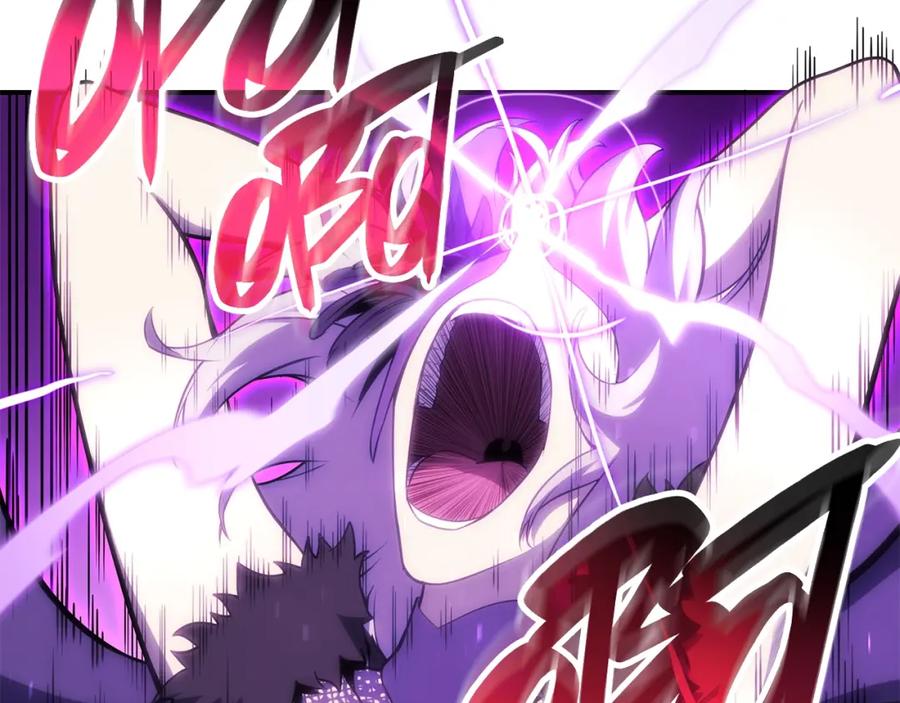第255页
