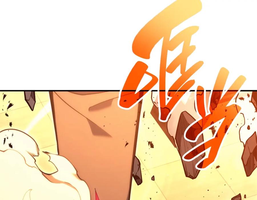 第215页
