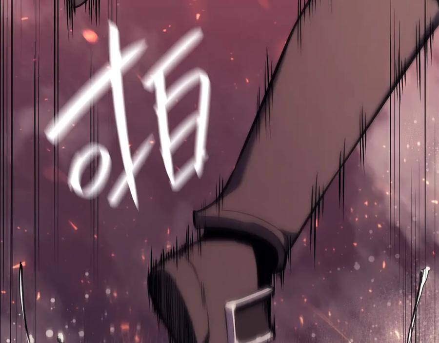 第223页