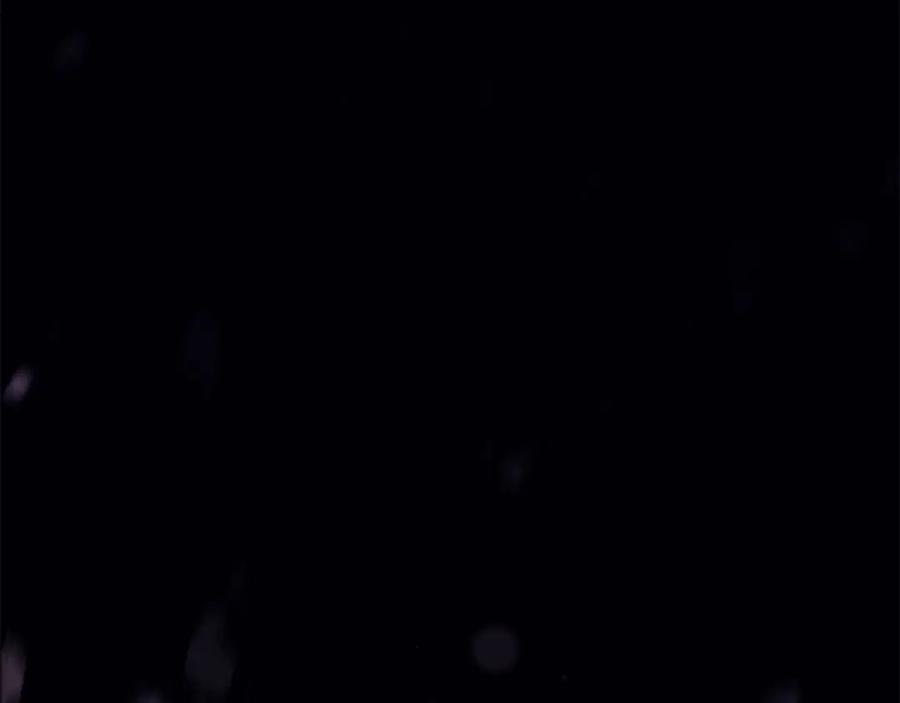 第256页
