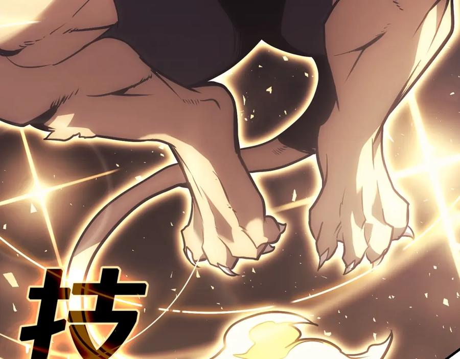 第222页