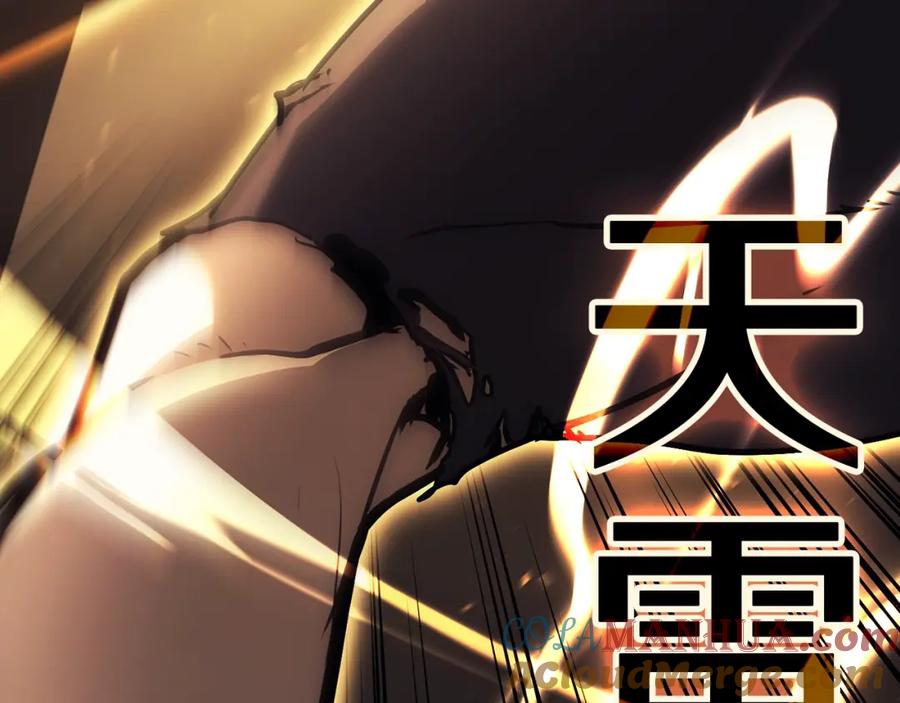 第229页
