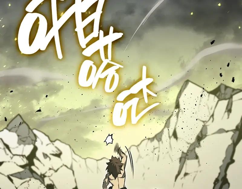 第247页