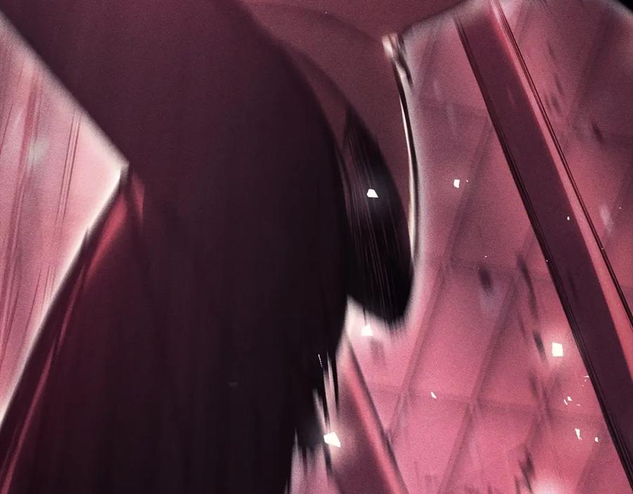 第223页