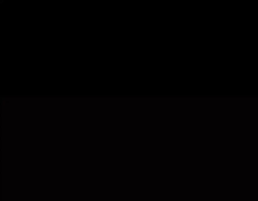 第451页