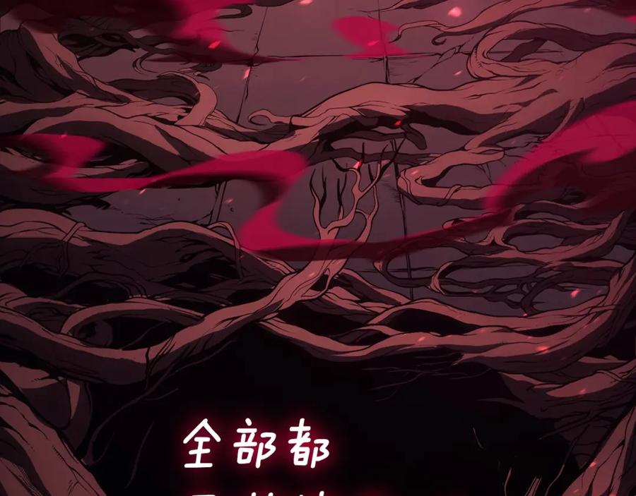 第243页