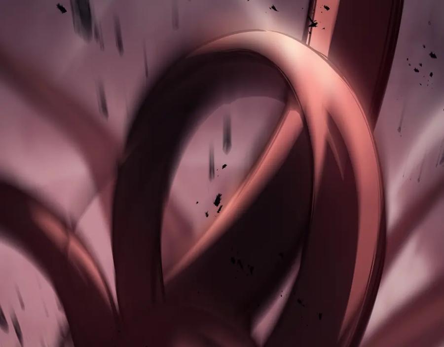 第236页