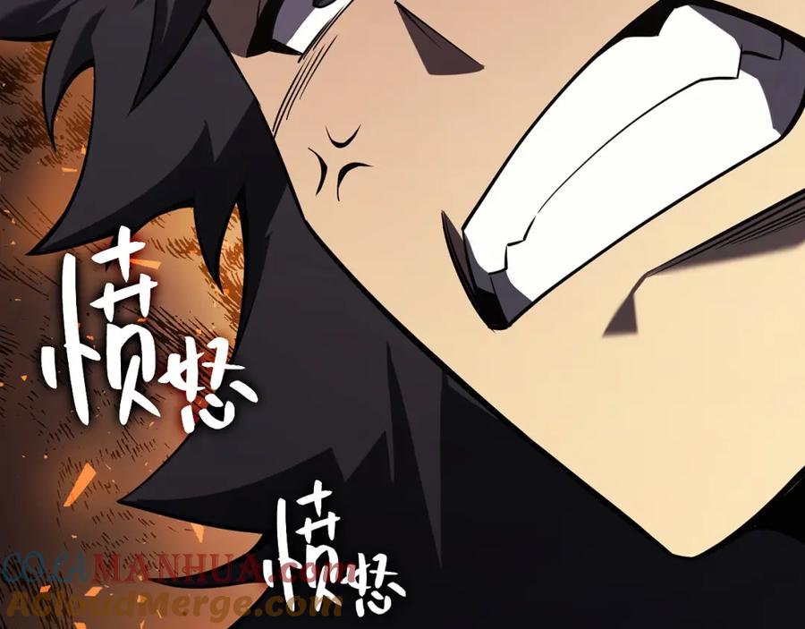第233页