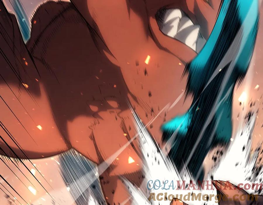 第229页