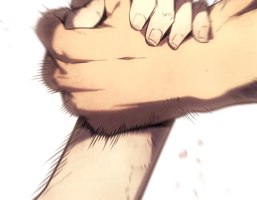 第394页