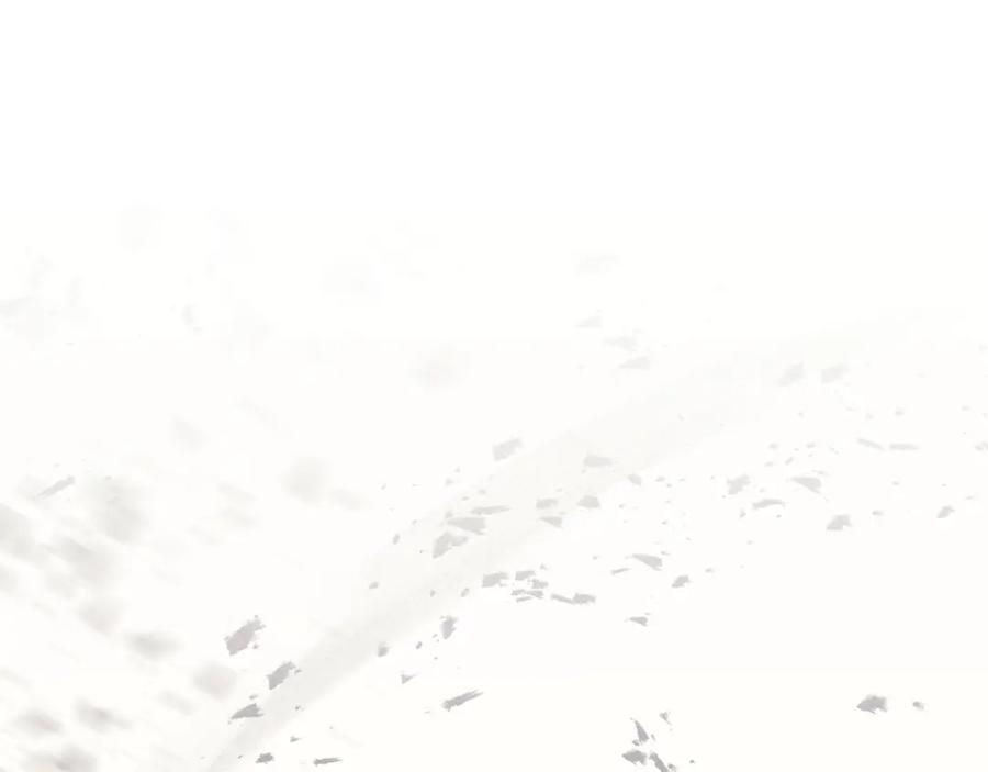 第398页