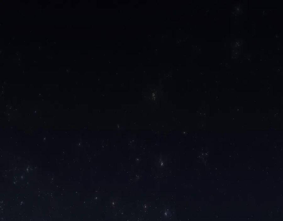第495页