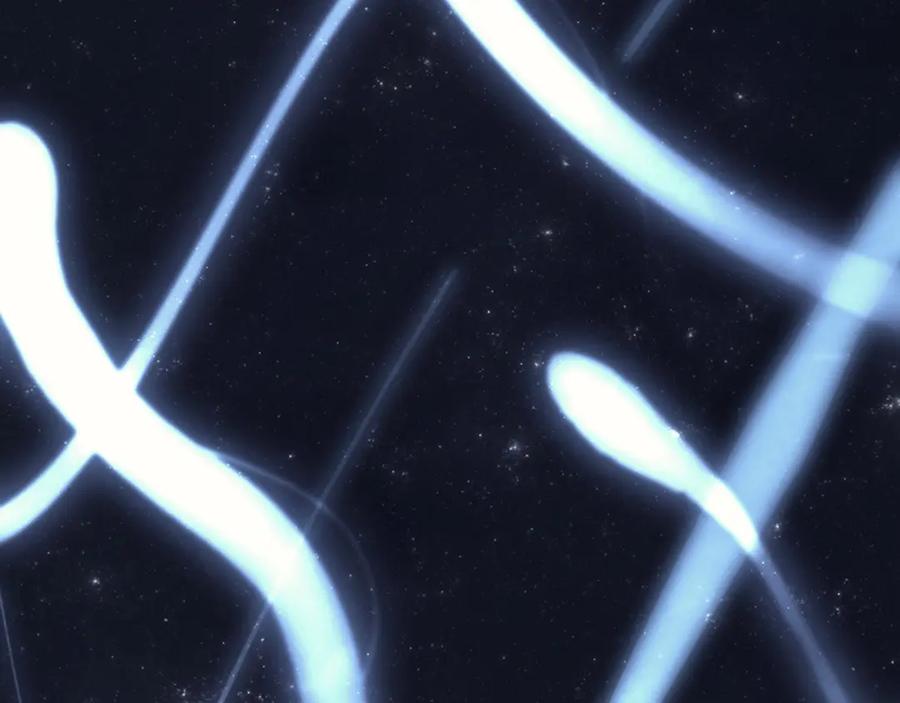 第498页