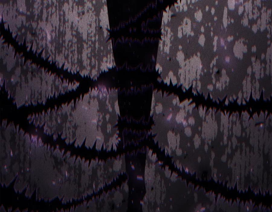 第175页
