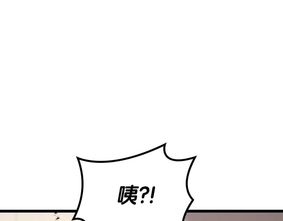 第234页