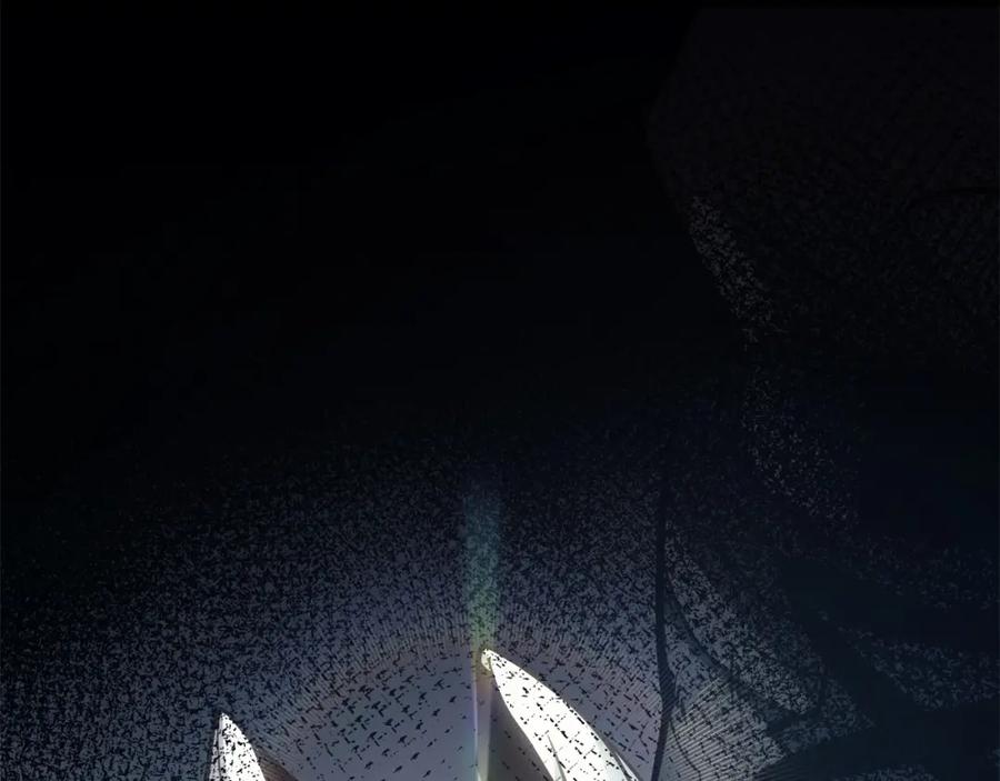第239页