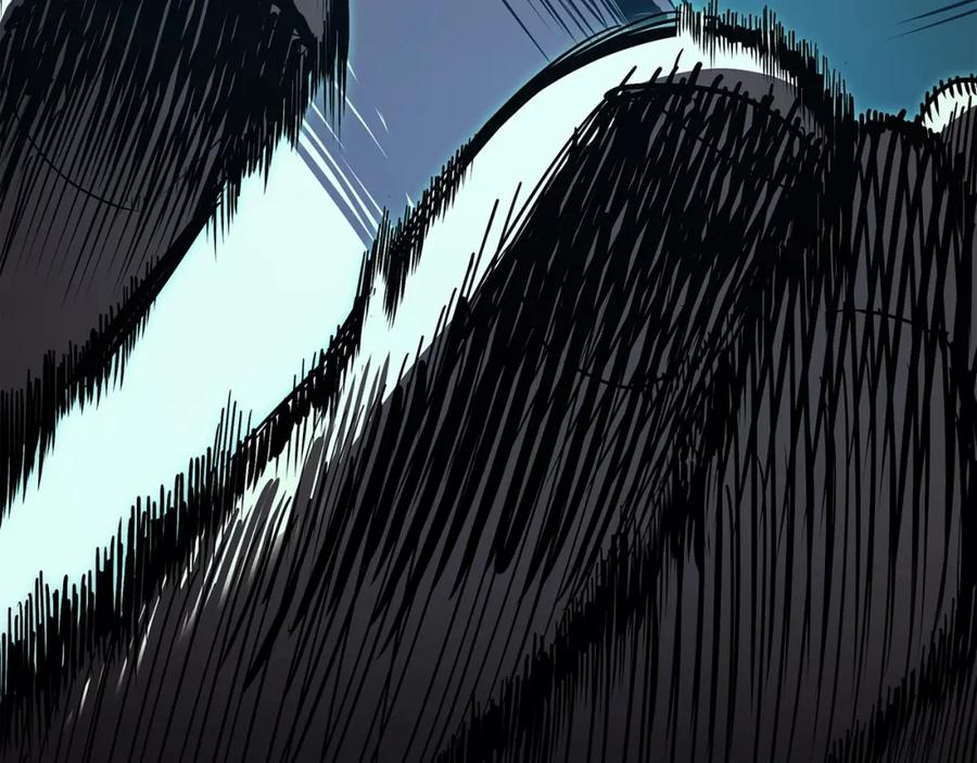 第224页