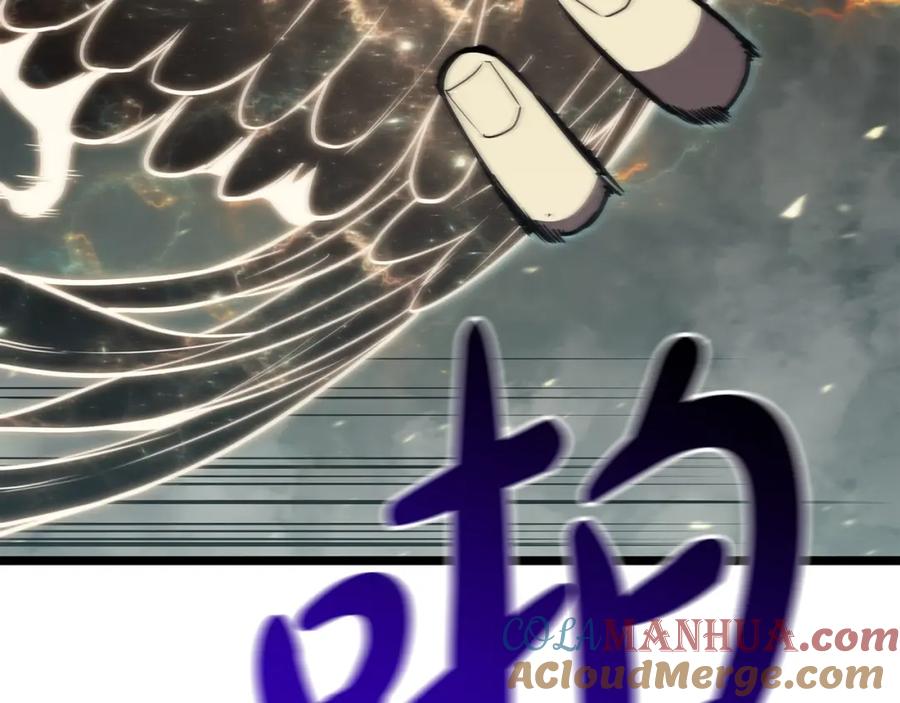 第233页