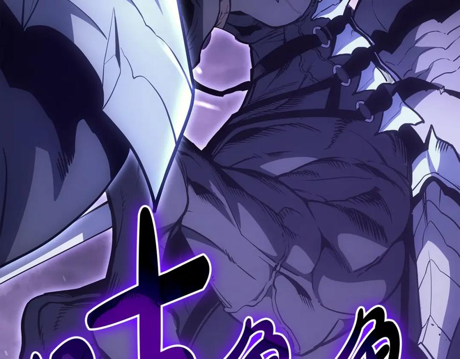 第260页