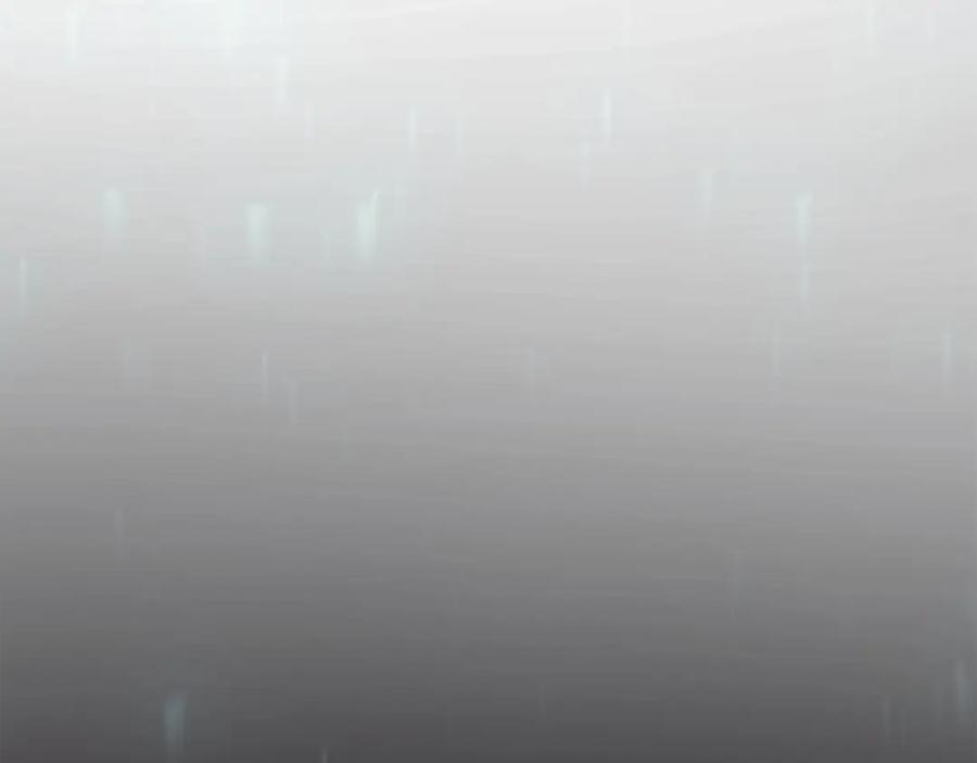 第319页