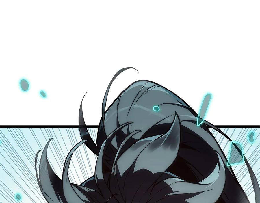 第446页