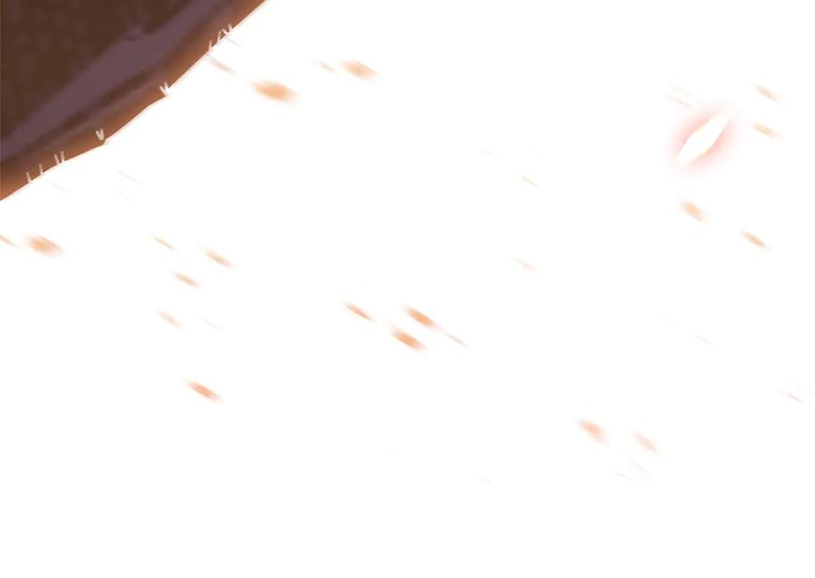 第244页