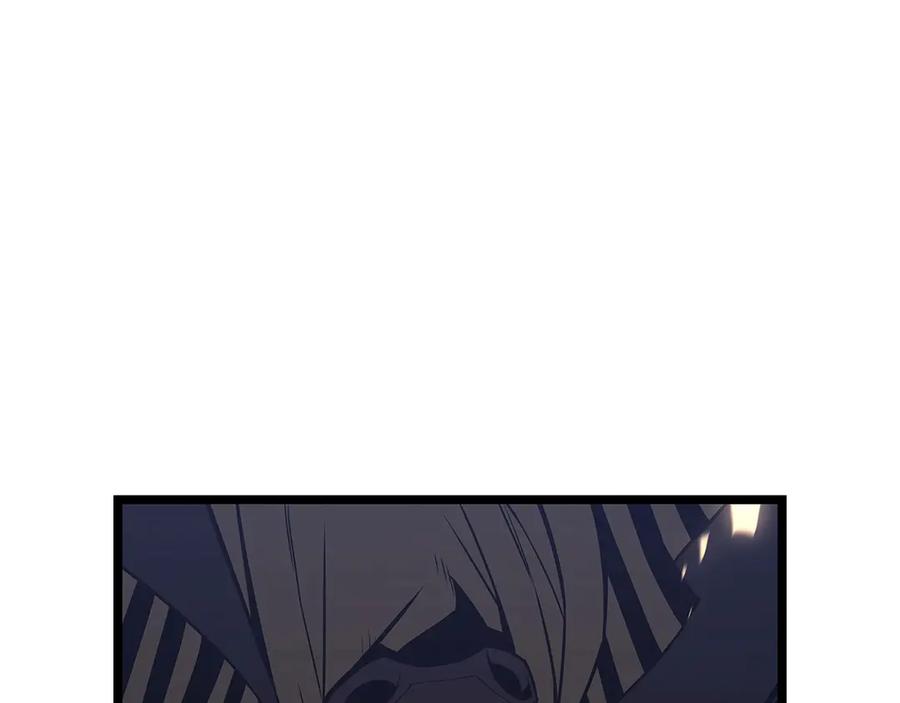 第260页