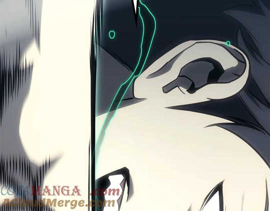 第229页