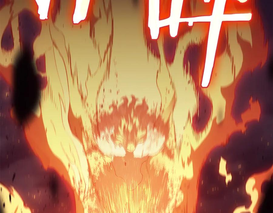 第214页
