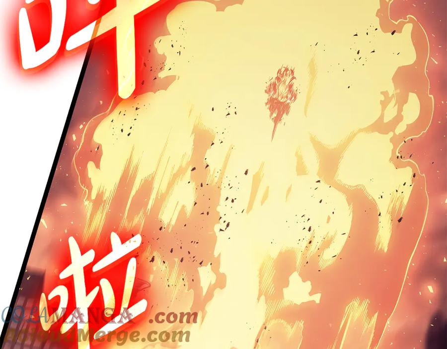 第217页