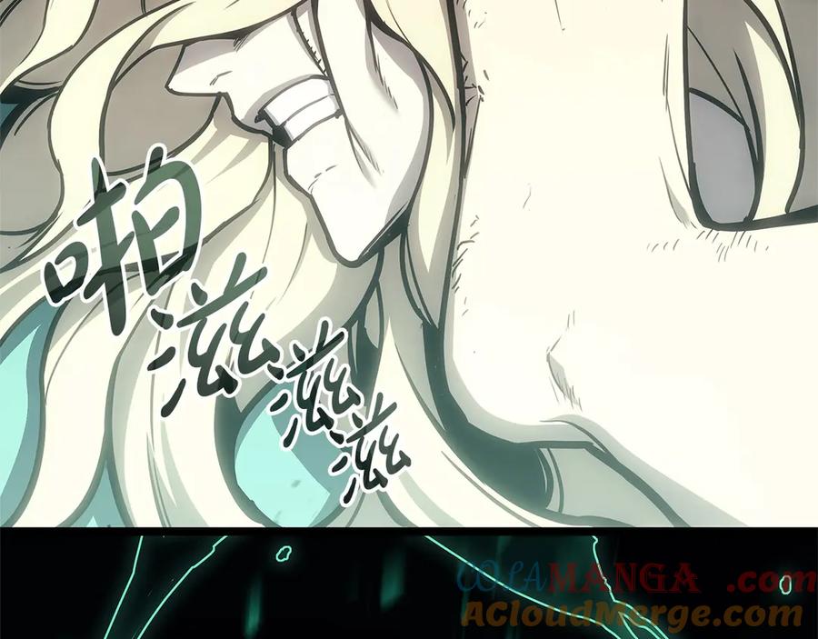 第213页