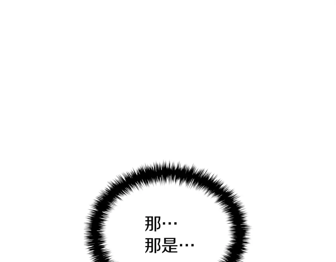 第511页